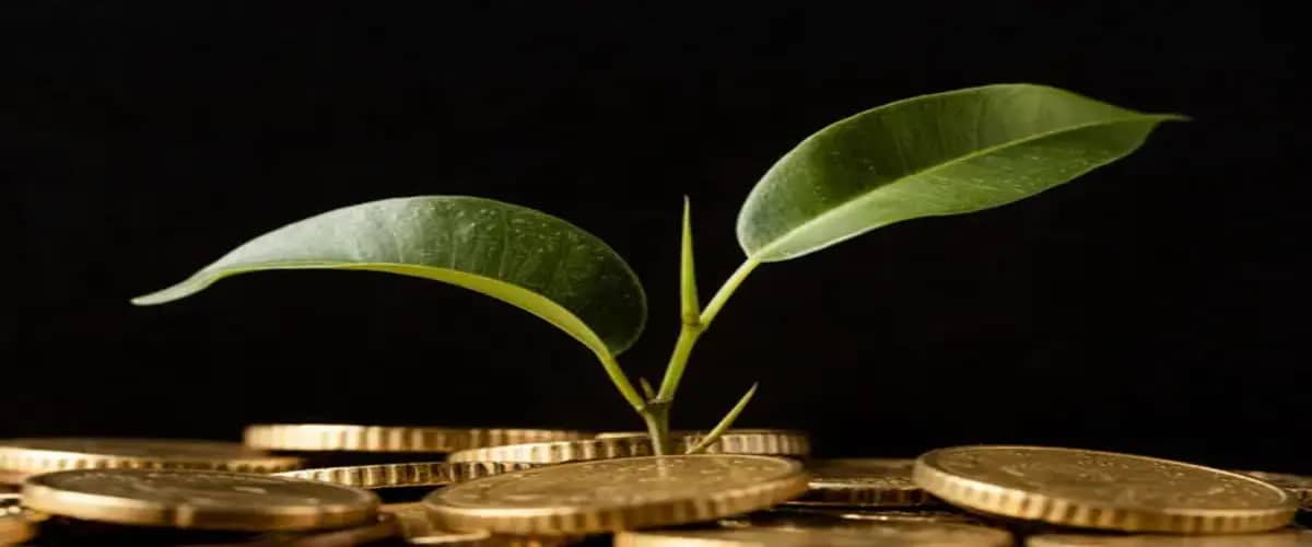 private equity accounting